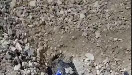 大貨車闖紅燈側翻!小車瞬間被埋!致3人死亡！