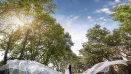 從“灰色制造”到“綠色智能”這家水泥企業完美轉型