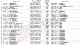 第二批假冒中央企業名單公布