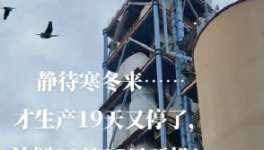 全停！最長200天！20個省水泥廠停產！
