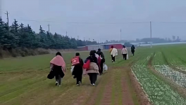 反撲！多省工地停工！水泥廠停發！商混站“告急”！