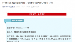 公告！多家水泥廠被賣！