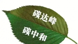 縫出匠心！這家環保企業脫穎而出！市場占有率名列前茅！