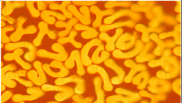 對比明顯，這個材料完勝！最長可用8年，節約電費百萬！