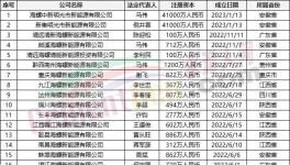 瘋狂！“上下”通吃！海螺連續成立50多家公司！