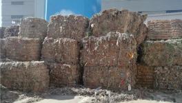 創收40萬/天！替代燃料降本火了！