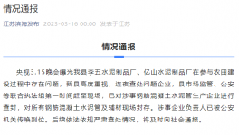 3.15在行動！假海螺水泥“泛濫”！