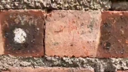 氣憤！“山寨”水泥！“假水泥”泛濫！