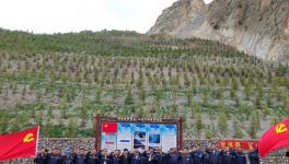 昌都高爭開展“黨旗飄，礦山綠”主題活動